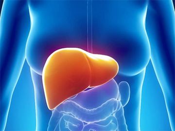 Hepatitis