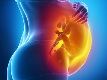In Vitro Fertilization (IVF)