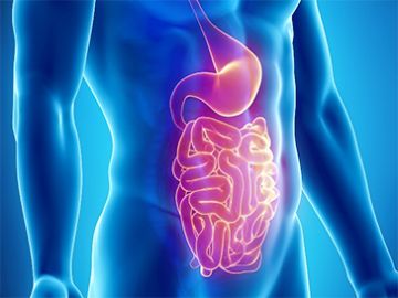 Intestinal Polyp
