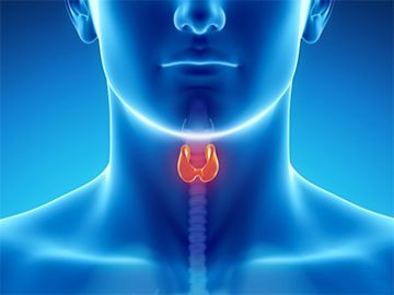 Thyroid Cancer