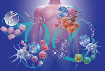 Immunotherapy