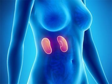 Polycystic Kidney Disease