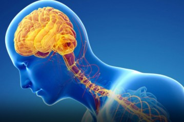 Degenerative Brain Diseases