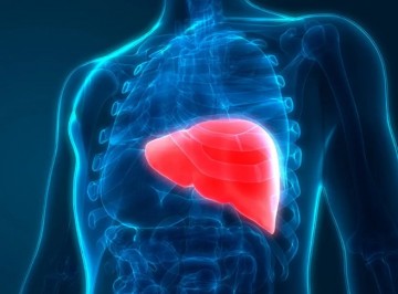 Liver Fibrosis