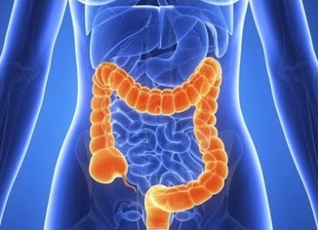 Colon and Rectal Diseases